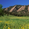 Boulder’s green season: photos by Ann Duncan