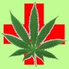 Medical marijuana panel this Friday